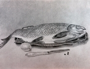 Рисунок карандашом.Рыба